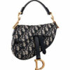 Dior Saddle *