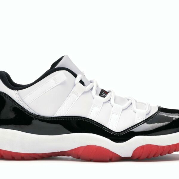 Jordan 11 Retro concord Bred pers