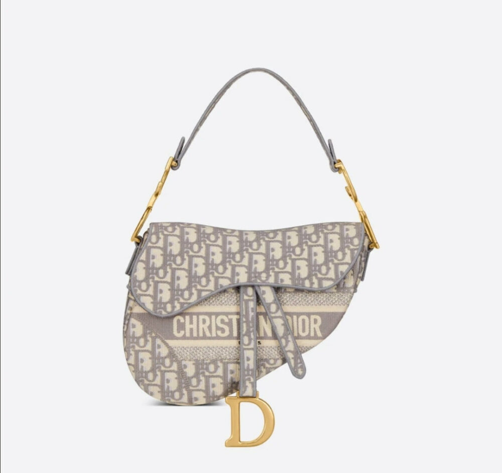 Dior Saddle Fascia beige *