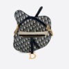 Dior Saddle *